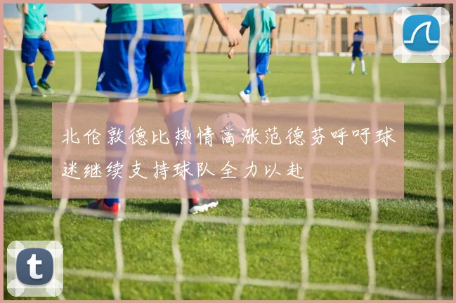 北伦敦德比热情高涨范德芬呼吁球迷继续支持球队全力以赴