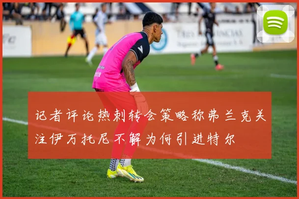 记者评论热刺转会策略称弗兰克关注伊万托尼不解为何引进特尔