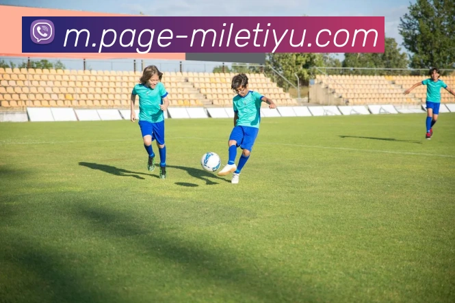 App Interface Preview